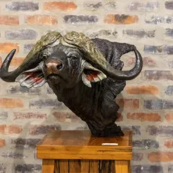 Secunda Art Gallery - Secunda