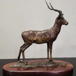 Secunda Art Gallery - Secunda