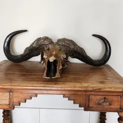 Secunda Art Gallery - Secunda