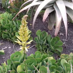 Secunda Nature Reserve - Secunda