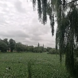 Secunda Nature Reserve - Secunda