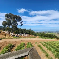 Helderberg Farm Village - Somerset West