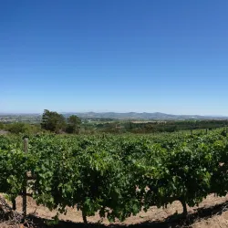 Helderberg Farm Village - Somerset West