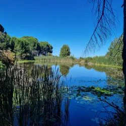 Helderberg Farm Village - Somerset West