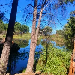 Helderberg Farm Village - Somerset West