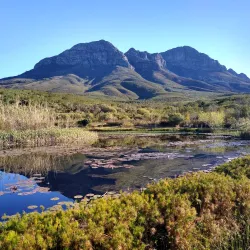 Helderberg Nature Reserve - Somerset West