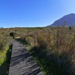 Helderberg Nature Reserve - Somerset West