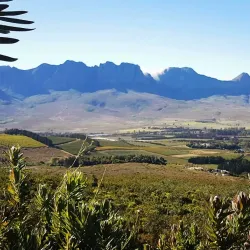 Helderberg Nature Reserve - Somerset West