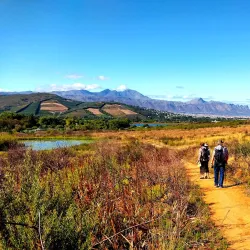 Helderberg Nature Reserve - Somerset West