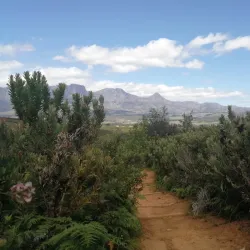 Helderberg Nature Reserve - Somerset West