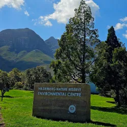 Helderberg Nature Reserve - Somerset West