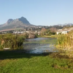 Helderberg Village Market - Somerset West