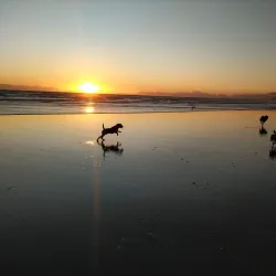 Strand Beach - Somerset West