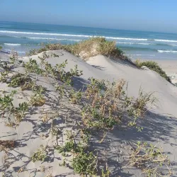Strand Beach - Somerset West