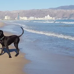 Strand Beach - Somerset West