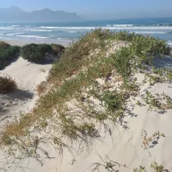 Strand Beach - Somerset West