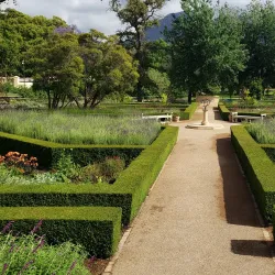 Vergelegen Wine Estate - Somerset West