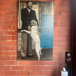 Mandela House Museum - Soweto