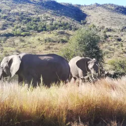 Soweto Bicycle Tours - Soweto