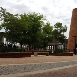 Walter Sisulu Square Market - Soweto