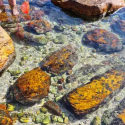 Cape St. Francis Lighthouse - St Francis Bay