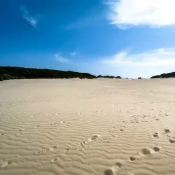 Cape St. Francis Nature Reserve - St Francis Bay