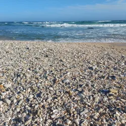 Cape St. Francis Nature Reserve - St Francis Bay
