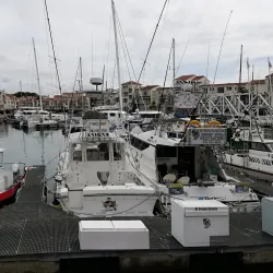 Fishing in St Francis Bay - St Francis Bay