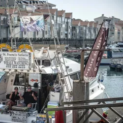 Fishing in St Francis Bay - St Francis Bay