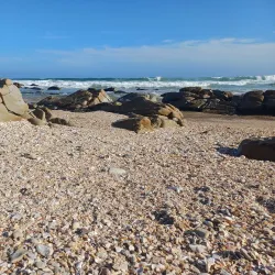 Kromme River Nature Reserve - St Francis Bay
