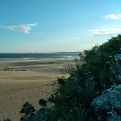 Kromme River Nature Reserve - St Francis Bay