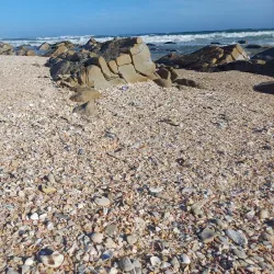 Kromme River Nature Reserve - St Francis Bay