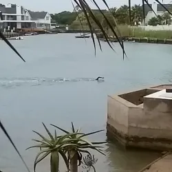 St Francis Bay Marina - St Francis Bay