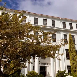 Dorp Street - Stellenbosch