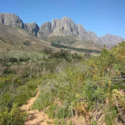 Jonkershoek Nature Reserve - Stellenbosch