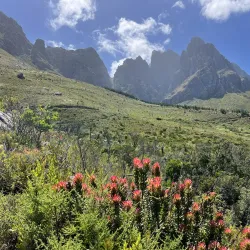Jonkershoek Nature Reserve - Stellenbosch