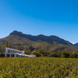 Lanzerac Wine Estate - Stellenbosch
