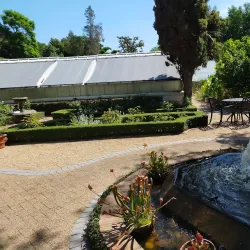 Stellenbosch University Botanical Garden - Stellenbosch