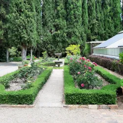 Stellenbosch University Botanical Garden - Stellenbosch