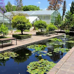 Stellenbosch University Botanical Garden - Stellenbosch