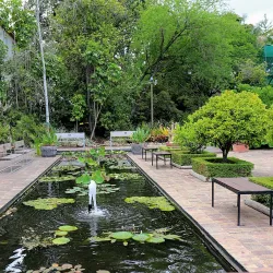 Stellenbosch University Botanical Garden - Stellenbosch