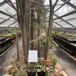 Stellenbosch University Botanical Garden - Stellenbosch