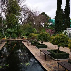Stellenbosch University Botanical Garden - Stellenbosch