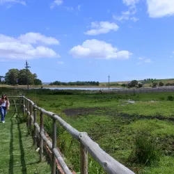 Stellenbosch Wine Route - Stellenbosch