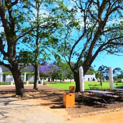 Stellenbosch Wine Route - Stellenbosch