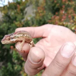 Gouritz River Mouth - Stilbaai (Still Bay)
