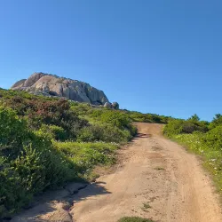 Postberg Nature Reserve - Stilbaai (Still Bay)