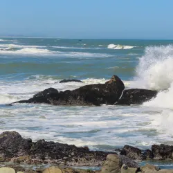 Postberg Nature Reserve - Stilbaai (Still Bay)