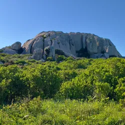 Postberg Nature Reserve - Stilbaai (Still Bay)