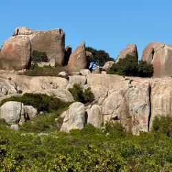 Postberg Nature Reserve - Stilbaai (Still Bay)
